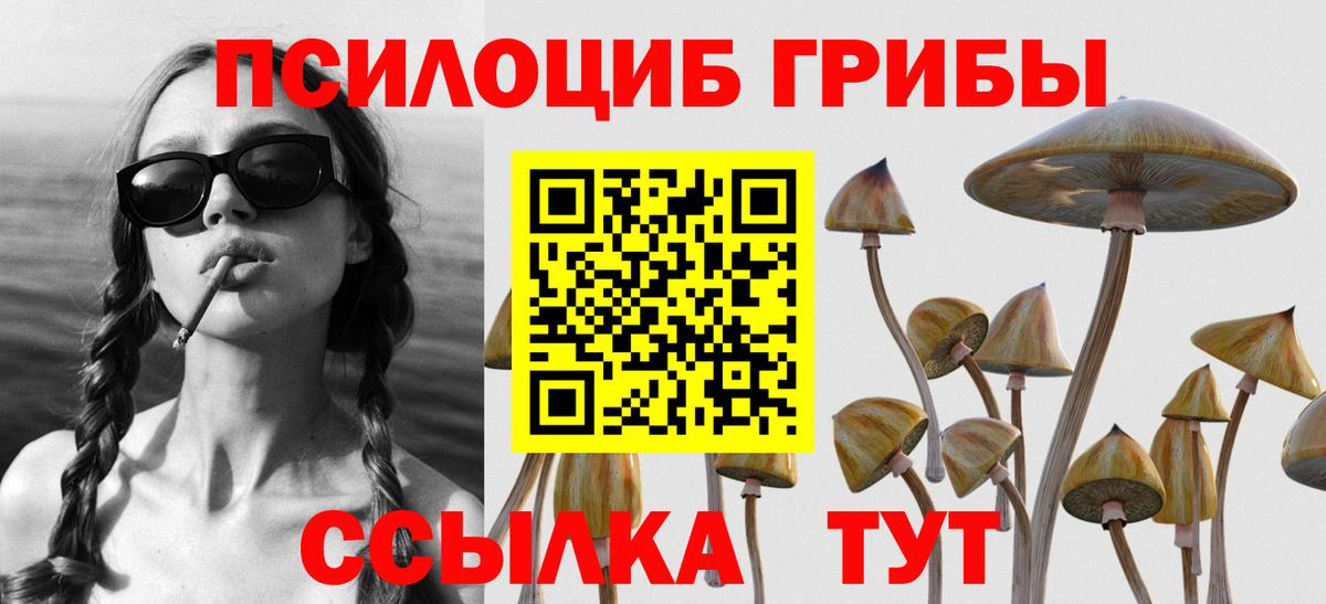 Галлюциногенные грибы мицелий  Псилоцибиновые грибы MAGIC MUSHROOMS  Кунгур  Вход с VPN 
